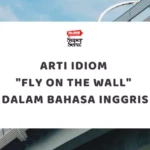Cara Menyebut "Norak" dalam Bahasa Inggris - Mr.BOB Kampung Inggris Arti Idiom “Fly On The Wall” dalam Bahasa Inggris